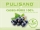 Fruit puree Cassis 100% (blackcurrant)