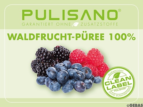 Fruit puree forest fruit 100%