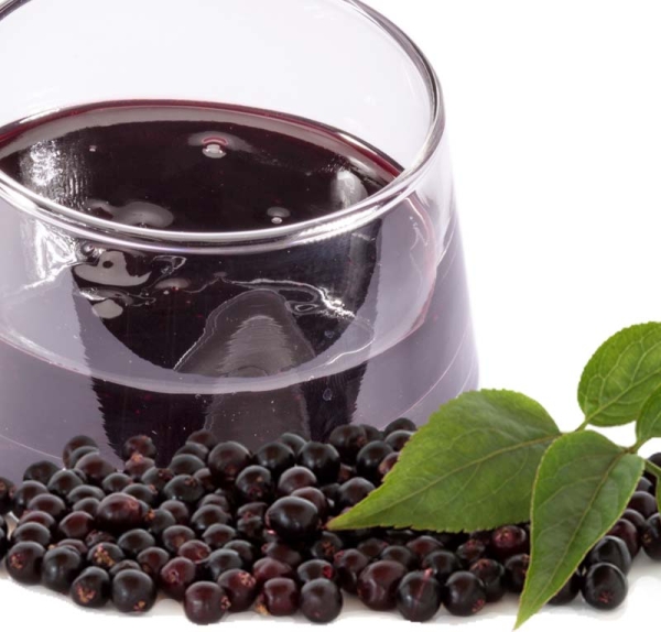 PreGel Arabeschi - Holunder 1 kg
