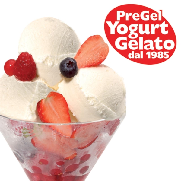 PreGel Yogomix-Yoggi ® 1 kg
