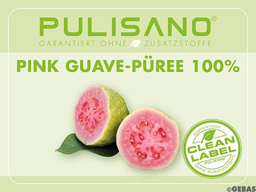 Fruchtpüree Guave Pink 100%