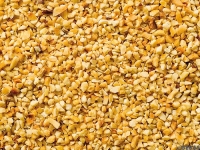 Nocciole tritate tostate 2-4 mm
