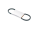 Pièce détachée CARPIGIANI CINGHIA POLY V 1562 L61,5 16N