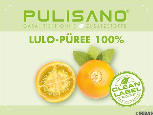 Purée de fruits Lulo 100