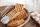 Placas intercambiáveis de wafer Lorraine da Neumärker para Thermocook®