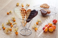 Neumärker Waffle Maker Thermocook® incl. Waffle Heart on a Stick Interchangeable Plates