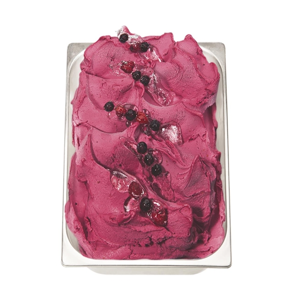 PreGel ForteFrutto blueberry 1 kg