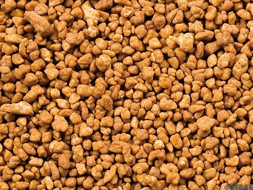 Haselnussdragee-Streusel (Granella Pral. Nocc.)